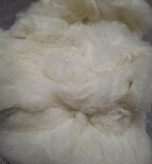 Superweiche weiße Cashmere Fasern gekämmt